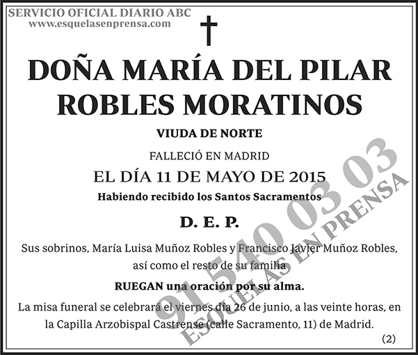 María del Pilar Robles Moratinos